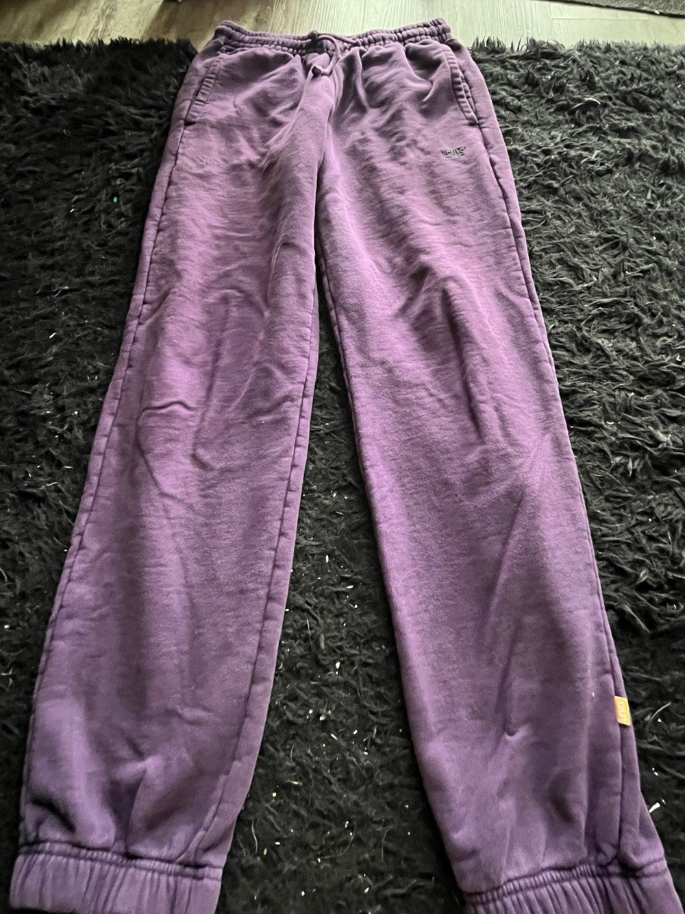 Levi's Purple Sweatpants with Drawstring